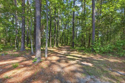 1344 Central Avenue Summerville SC 29483