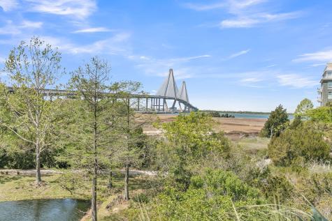 221 Cooper River Drive Mount Pleasant SC 29464