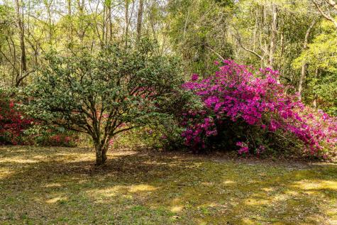 517 W Carolina Avenue Summerville SC 29483