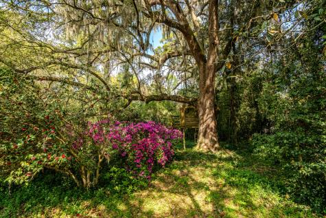 517 W Carolina Avenue Summerville SC 29483