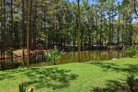 2041 Ashburton Way Mount Pleasant SC 29466