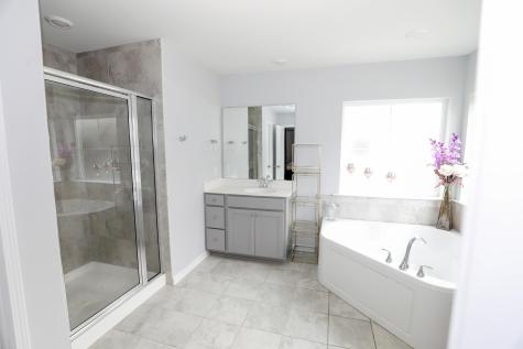 208 Garden Lily Lane Summerville SC 29485