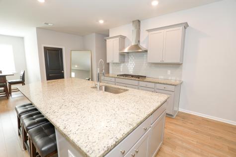208 Garden Lily Lane Summerville SC 29485