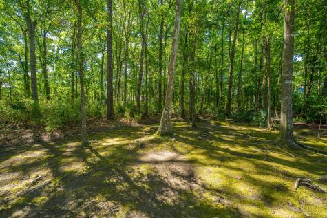 2801 Rosedown Point Mount Pleasant SC 29466