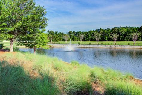 214 Warbler Way Summerville SC 29483