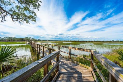 168 Nobels Point Street Charleston SC 29492
