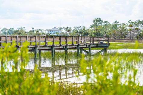 168 Nobels Point Street Charleston SC 29492