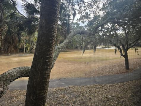 761 Summerwind Circle Edisto Beach SC 29438