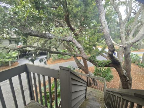 761 Summerwind Circle Edisto Beach SC 29438