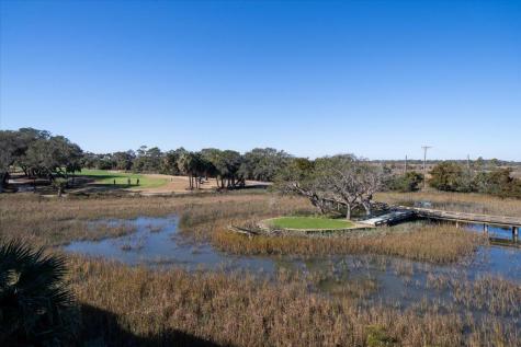 17 Linkside Court Isle Of Palms SC 29451
