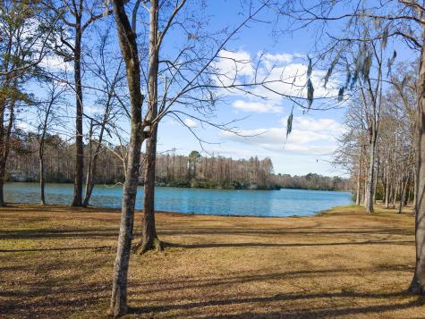 146 Loganberry Circle Goose Creek SC 29445