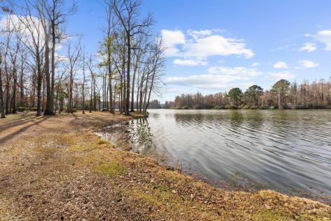 146 Loganberry Circle Goose Creek SC 29445