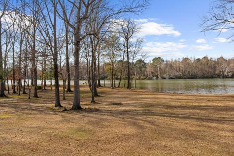 146 Loganberry Circle Goose Creek SC 29445