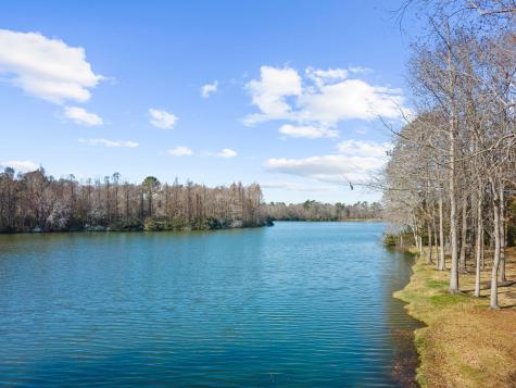 146 Loganberry Circle Goose Creek SC 29445