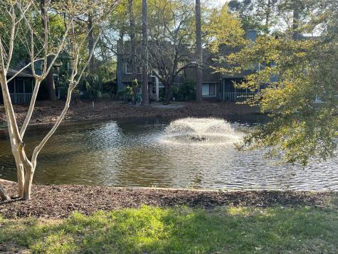 1103 Hidden Cove Drive Mount Pleasant SC 29464