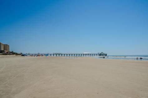 201 W Arctic Avenue Folly Beach SC 29439