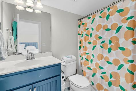 4066 Blackmoor Street Mount Pleasant SC 29466