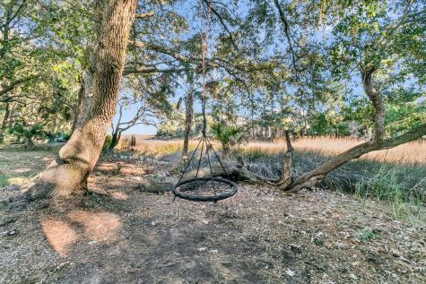 4066 Blackmoor Street Mount Pleasant SC 29466