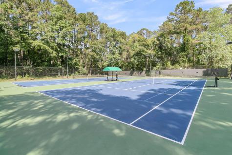 4066 Blackmoor Street Mount Pleasant SC 29466