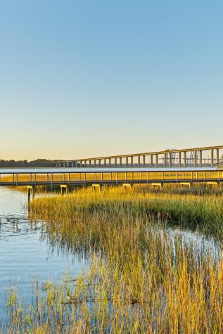 428 Ralston Creek Street Daniel Island SC 29492