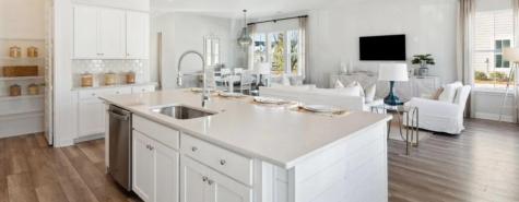 1043 Red Turnstone Run Summerville SC 29485