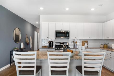 407 Camellia Bloom Drive Moncks Corner SC 29461