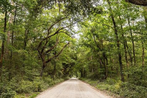 2422 Sc-174 Edisto Island SC 29438