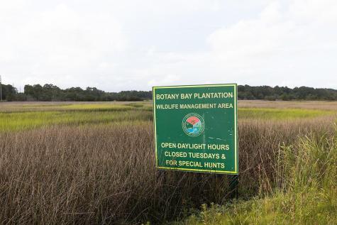 2422 Sc-174 Edisto Island SC 29438