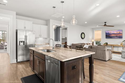 203 Bright Leaf Loop Summerville SC 29486