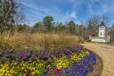 116 Brant Drive Summerville SC 29483