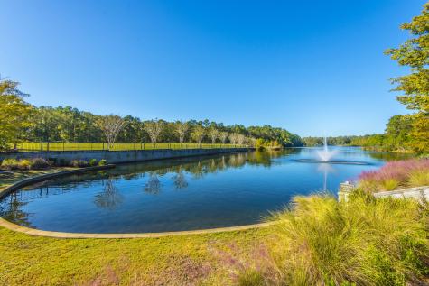116 Brant Drive Summerville SC 29483