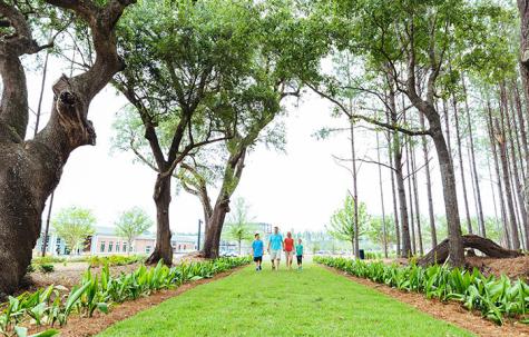 1018 Tea Time Drive Summerville SC 29485