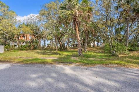 1214 Tabby Drive Folly Beach SC 29439
