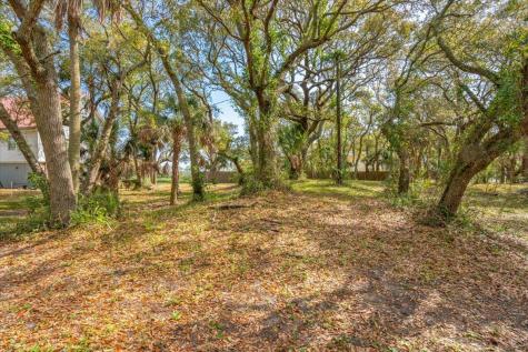 1214 Tabby Drive Folly Beach SC 29439