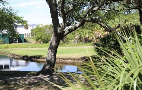 204 Sea Cloud Circle Edisto Island SC 29438