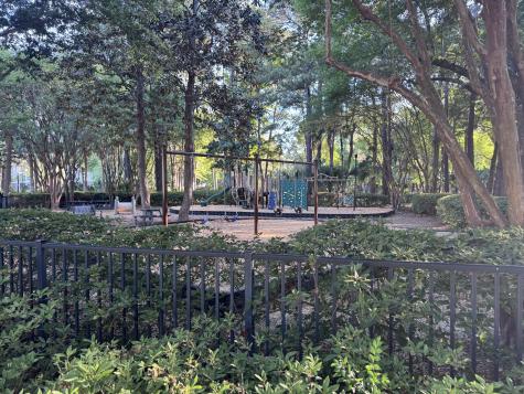2629 Coral Vine Court Mount Pleasant SC 29464