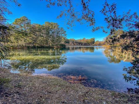 2629 Coral Vine Court Mount Pleasant SC 29464
