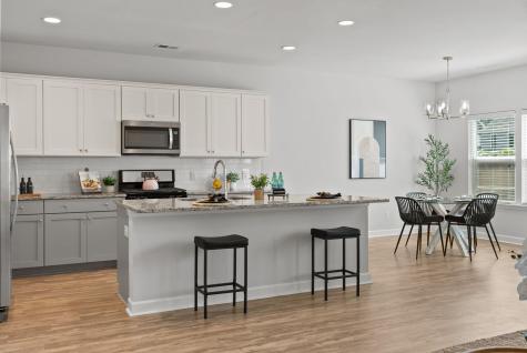 1552 Thin Pine Drive Johns Island SC 29455