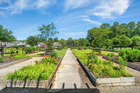 1552 Thin Pine Drive Johns Island SC 29455
