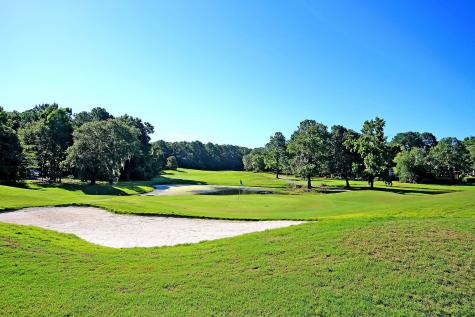 113 Waddington Trace Goose Creek SC 29445