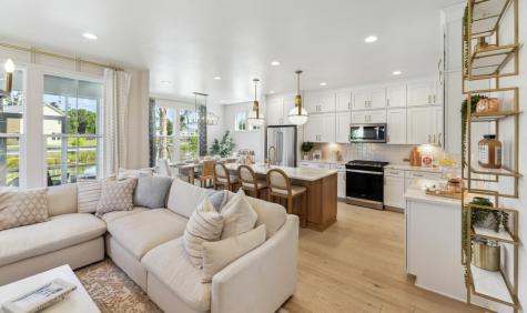 172 Claret Cup Way Charleston SC 29414