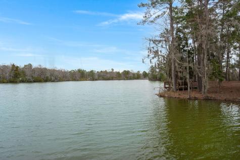 1111 Fitzgerald Court Summerville SC 29485