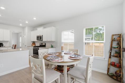 66 Red Bluff Street Summerville SC 29483