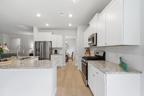 66 Red Bluff Street Summerville SC 29483