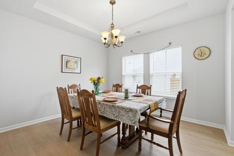 66 Red Bluff Street Summerville SC 29483