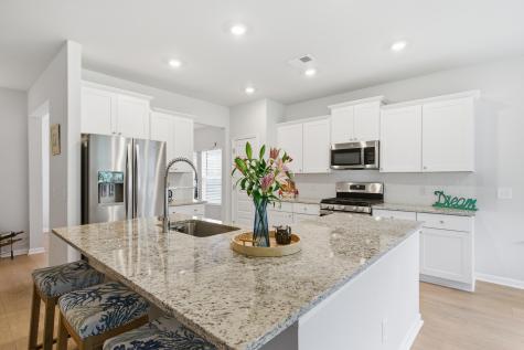 66 Red Bluff Street Summerville SC 29483