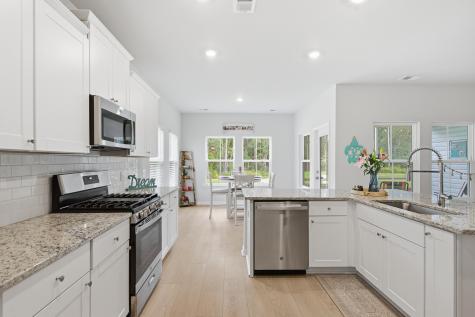 66 Red Bluff Street Summerville SC 29483