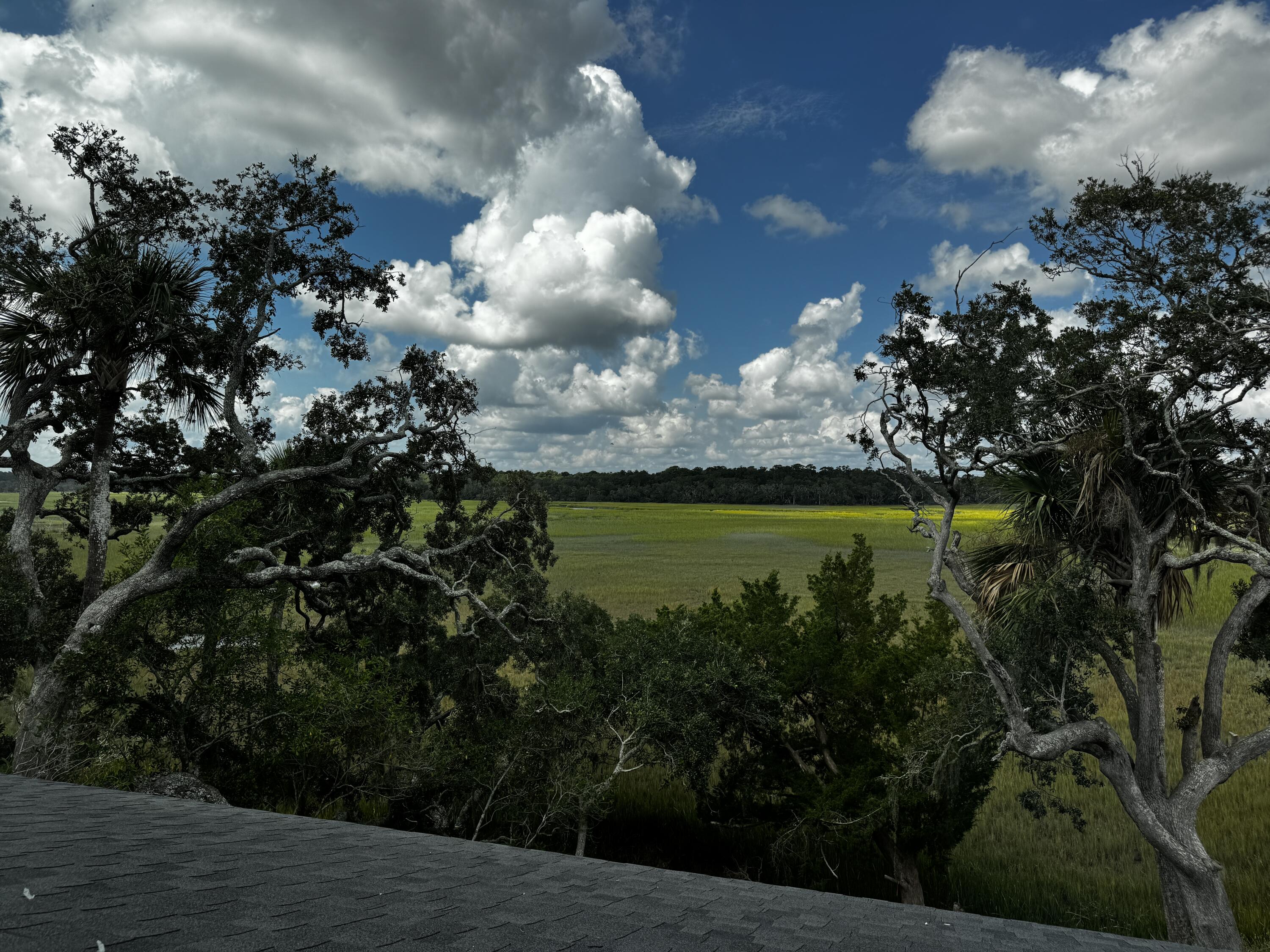 125 Jungle Road Edisto Island SC 29438