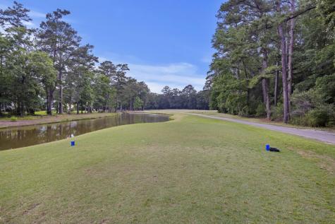 1011 Legacy Lane Summerville SC 29485