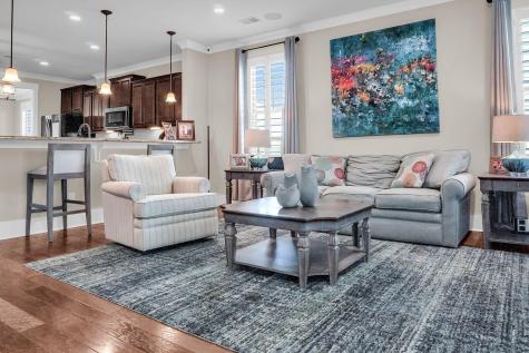 208 Springrise Lane Summerville SC 29486